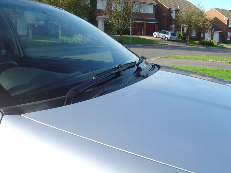 cupra_30.JPG
